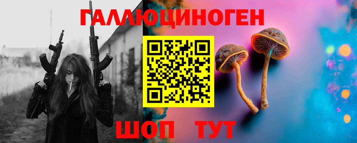 Гусиноозёрск  Галлюциногенные грибы GOLDEN TEACHER  Вход с VPN  Галлюциногенные грибы Psilocybine cubensis 